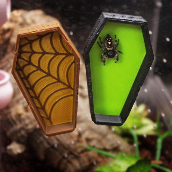Magnetic Casket/Coffin Jumping Spider & Invert Hide | Halloween Decoration