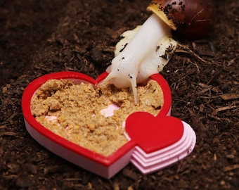 Heart Shaped Food Bowl With Ramp | Giant African Land Snails, Isopods & Feeders