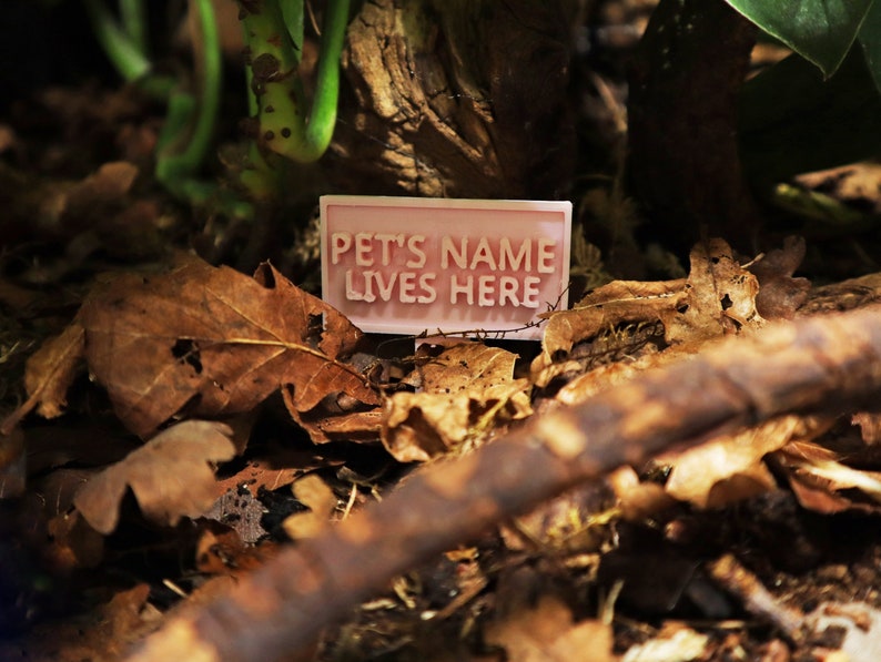 Personalised Name Sign For Jumping Spiders Tank, Suitable For Tarantulas, Inverts, Amphibians, Reptiles and More! 