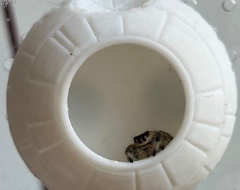 Death Star Hide For Jumping Spiders | Arboreal Hide / Home / Nest | 3D Printed Arachnid or Invert Hide (Magnetic or Suction Cups)