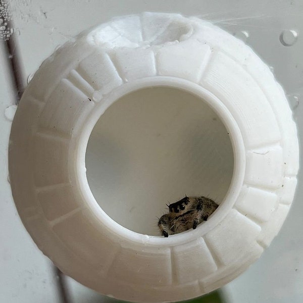 Death Star Hide For Jumping Spiders | Arboreal Hide / Home / Nest | 3D Printed Arachnid or Invert Hide (Magnetic or Suction Cups)