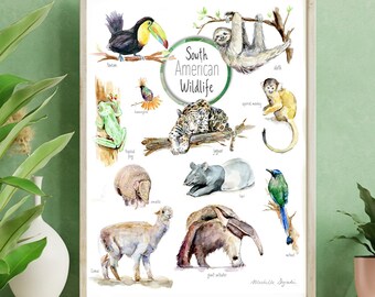South American wildlife print, poster with animal species, sloth, leopard, monkey, frog, tapir, anteater, toucan watercolor art, nursery art