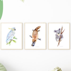 Koala cacatua ornitorinco arte stampa set di 3 animali australiani pittura ad acquerello Koala vivaio arredamento Australia fauna selvatica stampa arte ornitorinco