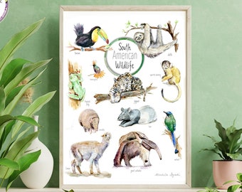 Südamerikanisches Tierplakat, wilde Tiere aus Südamerika, Aquarellillustrationen, Gürteltier, Ameisenbär, Faultier von Michelle Dujardin