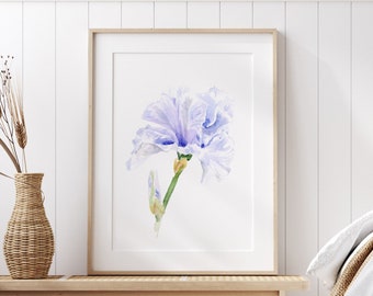 Akwarela z irysem: Kwiat narodzin lutego, liliowo-fioletowy