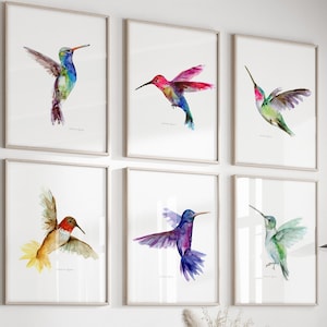 May include: A set of six framed watercolor paintings of hummingbirds in various colors and poses. The paintings are arranged in a grid pattern on a white wall.