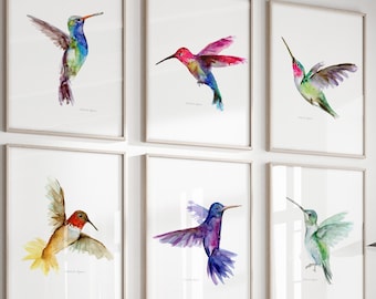 ケツァール鳥の水彩画 - 熱帯鳥のファインアートプリント - Etsy 日本
