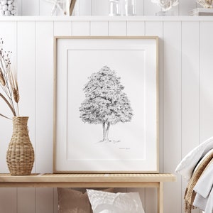 Briotii tree art Red horse Chestnut print pencil drawing grey wall art Chestnut decoration tree Fine art print graphite sketch tree decor