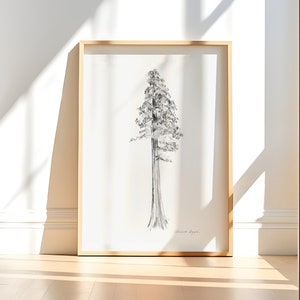 Redwood Tree art print sequoia tree Pencil drawing giant sequoia black white wall art redwood national park tree lover gift grey interior