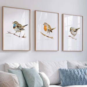 Bird Art Prints set of 3 small birds watercolor paintings red robin print Goldcrest art Bluethroat painting bird decoration forest birds art