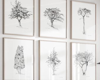 木の絵のアートプリントセット、北欧の森の鉛筆画、白黒 - Etsy 日本