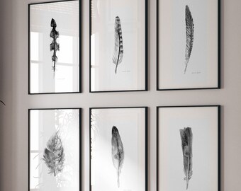 Feather Watercolor Art Prints, Set of 6, Black and White Home Decor