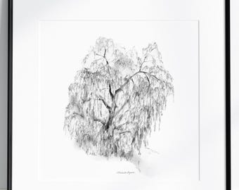 Weeping Willow Tree Pencil Sketch, Zen Fine Art Print