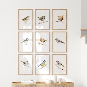 Stampe d'arte di uccelli da giardino set di 9 dipinti ad acquerello di uccelli comuni pettirosso fringuello passero cincia specie di uccelli Galleria decorazione da parete decorazione di uccelli