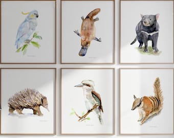 Australian animal Art set of 6 Prints cockatoo painting platypus watercolor Tasmanian devil echidna kookaburra numbat home decor Australia