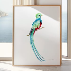 Quetzalcoatl art print quetzal bird watercolor painting green red wall art tropical bird canvas print bird wall art gift jungle decoration