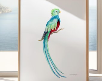 ケツァールの鳥の絵画 鳥の水彩画 アートプリント 赤 緑の鳥 壁アート
