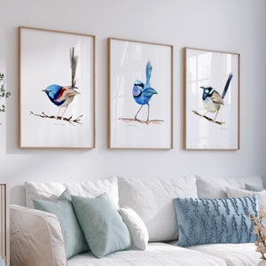 Fairywren Art Prints 3er Set Vogel Aquarell Gemälde blau türkis Australischer Märchenvogel Wanddekoration Fairy Wren