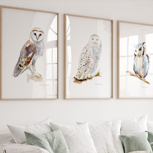 Uilen kunst, set van 3 prints, kerkuil, sneeuwuil en witwangdwergooruil, uil aquarel schilderij, Michelle Dujardin, uilensoorten illustratie