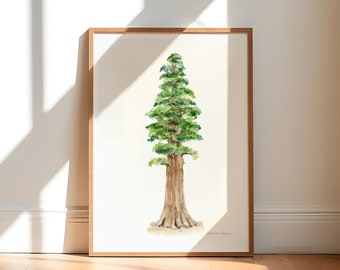 Giant Sequoia Tree Art Print, Watercolor Landscape