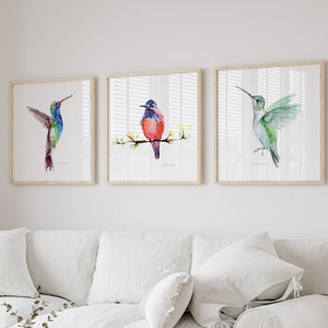 hummingbird art prints set of 3 hummingbird watercolor paintings bird wall art set hummingbird decoration blue red green nursery art prints
