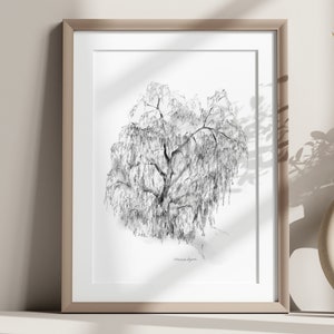 Weeping willow art, willow tree drawing, pencil sketch, Zen drawing willow, fine art print, grey wall art, weeping willow tree illustration