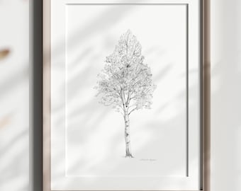 Aspen tree art, Aspen tree drawing, pencil sketch, Zen drawing Aspen, fine art print, grey wall art, Aspen tree illustration, canvas print