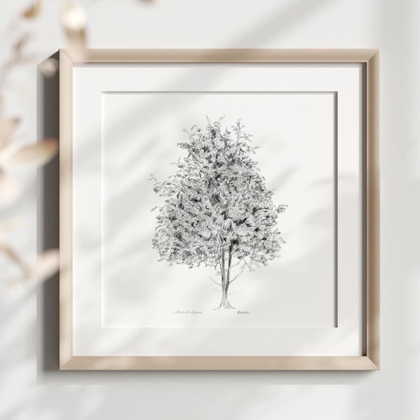 Rowan tree wall art mountain ash fine art print rowan tree drawing grey wall art tree on canvas rowan tree wall decor zen art gift for Rowan