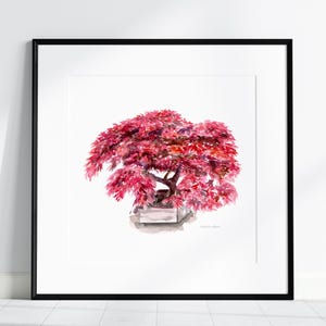 Op de afbeelding: Aquarel schilderij van een bonsai boom met levendige rode bladeren, geplaatst in een vierkante, grijze pot. Het kunstwerk is ingelijst in een zwart, vierkant frame en wordt tentoongesteld tegen een witte muur. De schildering is een botanische illustratie.