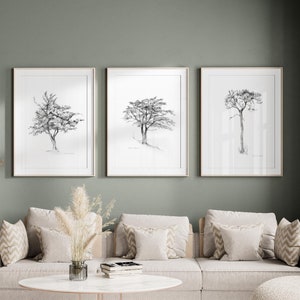 May include: Three framed black and white drawings of trees on a sage green wall above a light beige sofa with pillows. The sofa is in a living room with a light beige rug and a small round coffee table.