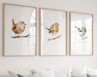 Birds art set of 3 watercolor paintings Gold Crest wren red Robin decor small garden birds living room decoration minimalistic bird wall art