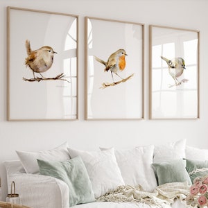 Set di 3 acquerelli raffiguranti uccelli, scricciolo con cresta d'oro, pettirosso rosso, decorazione per piccoli uccelli da giardino, decorazione per soggiorno, arte murale minimalista con uccelli.