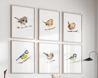 Lot de 6 gravures d&#39;oiseaux, aquarelles d&#39;oiseaux de jardin blason doré, gorgebleue gorge, mésange bleue, mésange charbonnière, rouge-gorge, décoration murale troglodyte