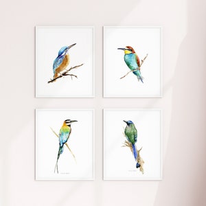 Tropical Bird art Set of 4 Prints Kingfisher motmot bee-eater blue green wall art bird decoration jungle bird watercolor painting kingfisher