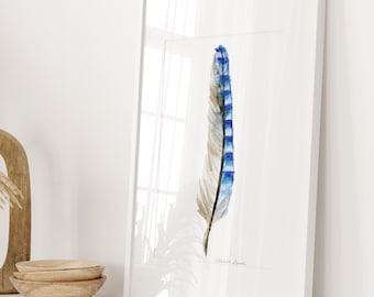 Blue Jay Feather Watercolor Print – Striped Feather Wall Art