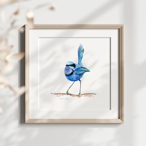 Splendido scricciolo fata arte scricciolo pittura uccello australiano stampa uccello blu brillante decorazione scricciolo australiano uccello fata Australia scricciolo regalo amante