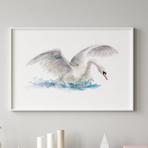 Swan Art Print flying swan watercolor painting swimming swan decoration white interior landing swan water bird minimalistic art swan canvas