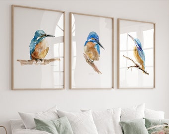 Set of 3 Kingfisher prints Kingfisher Art teal blue bird painting kingfisher decoration King fisher living room decor orange blue wall art