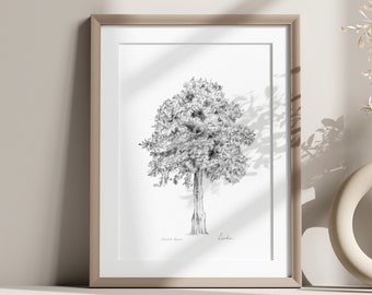 Linden tree art, fine art print, Linden tree drawing, name art, grey wall art, tree on canvas, Linden tree sketch, wall decor, Zen art