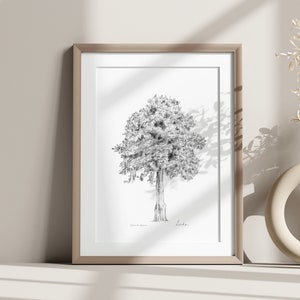 Linden Baum Kunstdruck Linden Baum Bleistiftzeichnung Baum Kunst Wandkunst Baumschmuck Leinwand Skizze Kunst Zentzeichnung Print