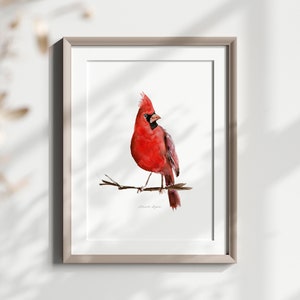 Red cardinal bird Art Northern cardinal Print red wall art cardinal gift red bird watercolor painting cardinal decor American bird lover art