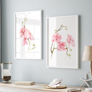 Orchid art prints soft pink orchid paintings floral wall art flowers  orchids decoration pink green interior orchids gift housewarming art
