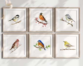 Set of 6 American Birds prints American Robin tufted titmouse bird warbler eastern bluebird lilac finch bird chickadee artful wallart