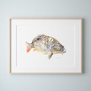 Spiegelkarper kunst print karper aquarel schilderij karper poster zoetwater vis cadeau visser schilderij Michelle Dujardin karper muurkunst
