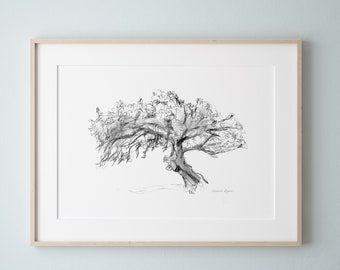 Cork Oak tree art print tree drawing oak tree sketch wall art tree grey white black oak decoration cork minimalistic drawing tree home decor