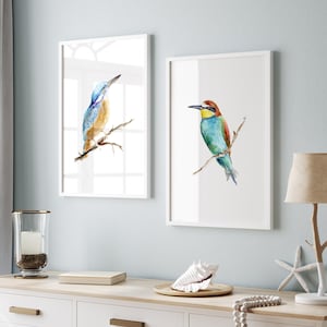 Common kingfisher and bee eater watercolor painting, set of 2 prints, blue green birds, kingfisher art, zen art, bird wall art, Eurasian