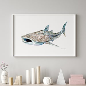 Whale shark art watercolor painting whaleshark print beachhouse decor ocean wall art gift for divers sealife whales fine art canvas hanging