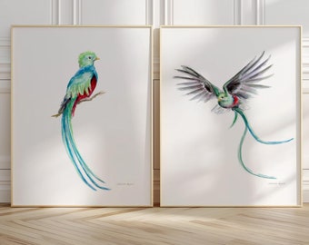 ケツァールの鳥の絵画 鳥の水彩画 アートプリント 赤 緑の鳥 壁アート