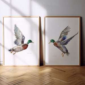 Mallard Duck art prints set of 2 flying Mallards Male Ducks watercolor paintings wild bird country house decor farm house mallard decoration