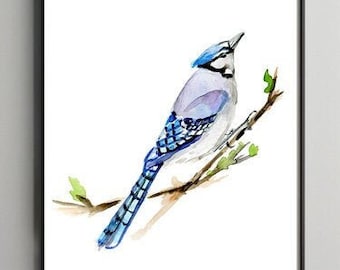 Blauwe gaai print, gaai illustratie, blauwe vogel schilderij, Amerikaanse gaai door michelle dujardin, vogel fine art print, vogel poster